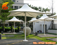 膜結(jié)構(gòu)11