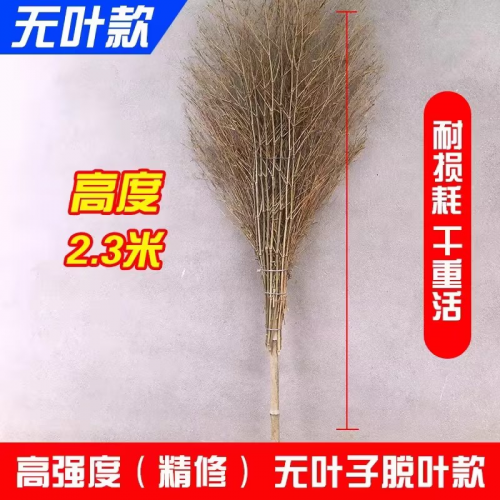 掃把